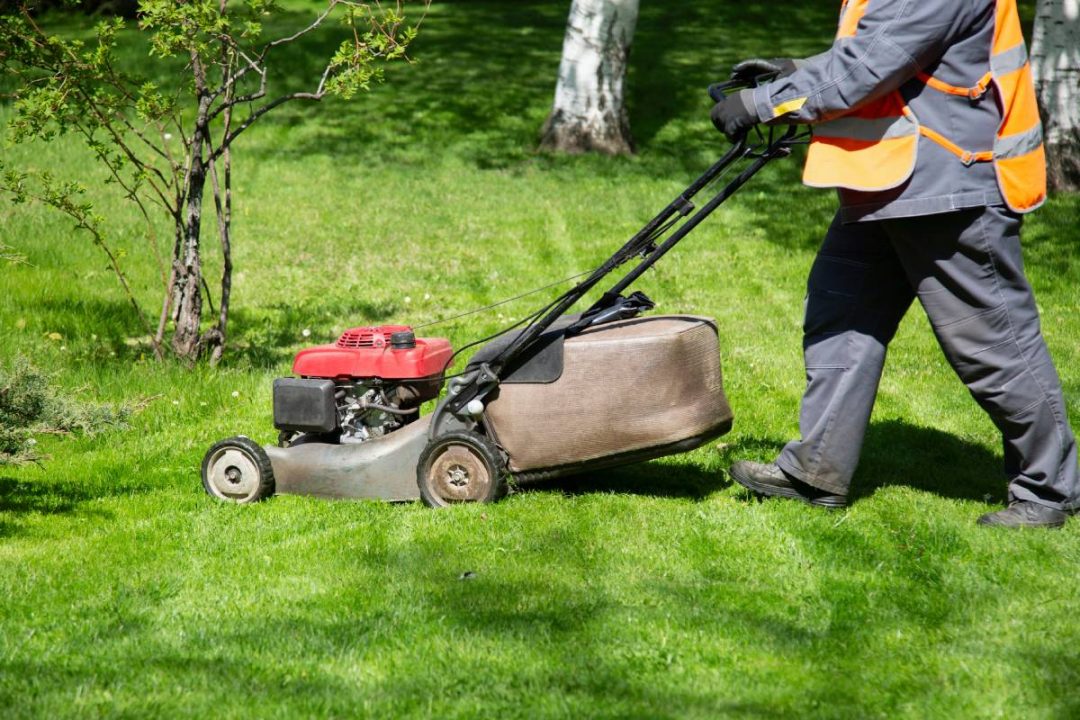 Lawn Care