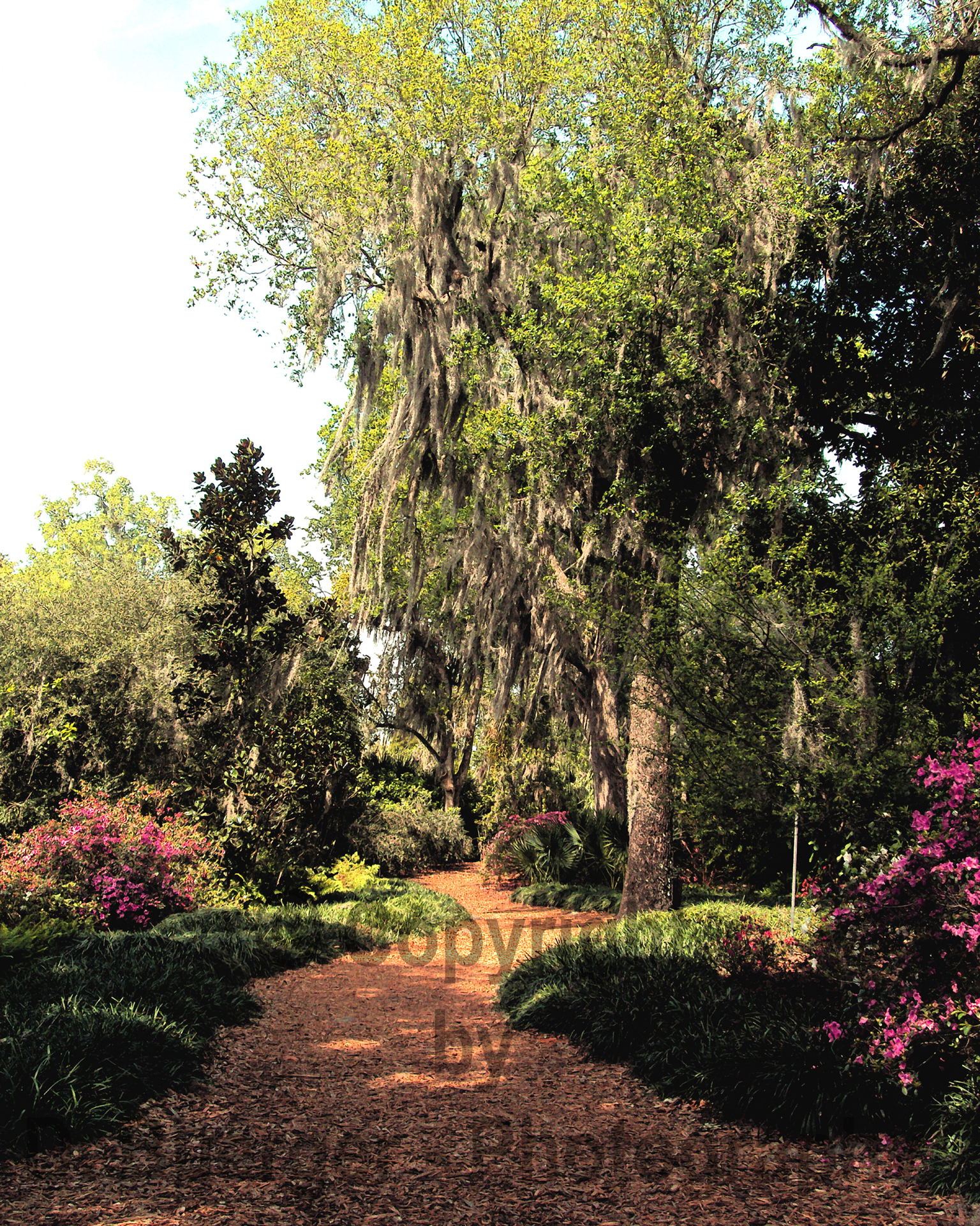 A Garden Path