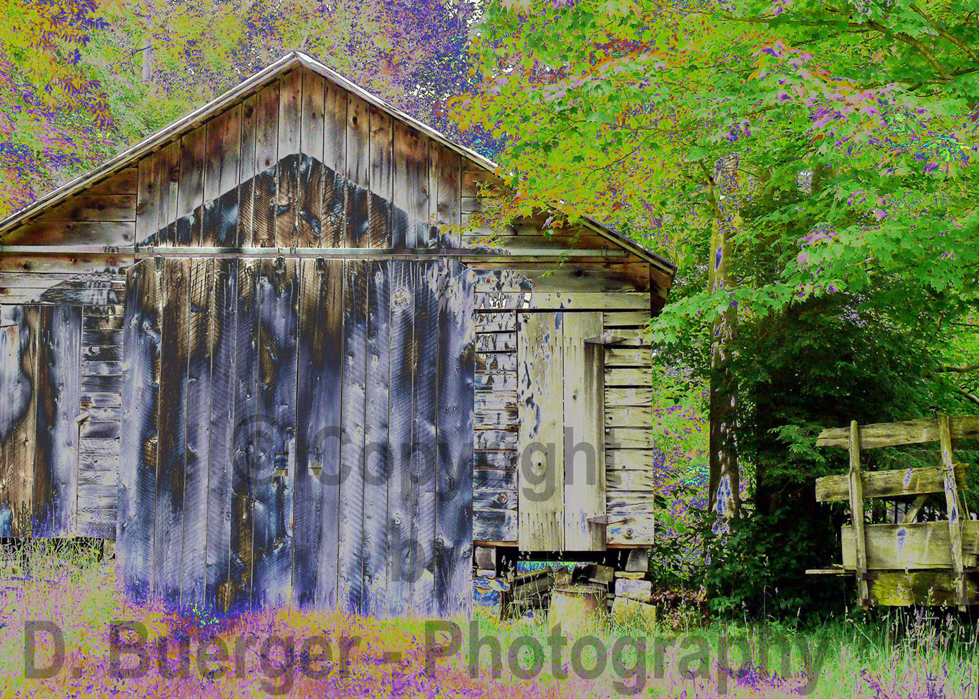 Shed in the Woods