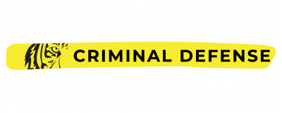 Tiger-light-Catherine-Turner