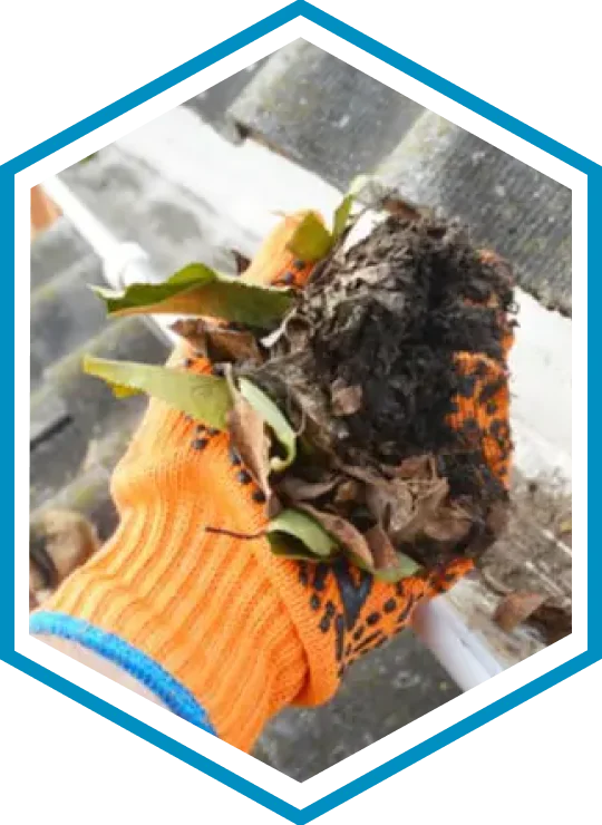 gutter installation & cleaning