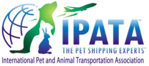 IPATA Logo