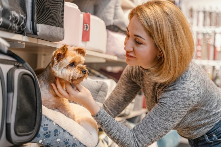 International Journey: Requirements When Your Pet is Traveling with an Airline