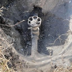 AEB70888-3EEF-4AEB-AF4E-7DE64050EA8F