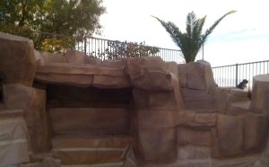 vegas-hardscape_49283